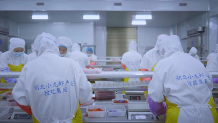 全國首個小龍蝦加工基地揭牌 全鏈賦能‘蝦’經(jīng)濟，助力鄉(xiāng)村振興與技術(shù)推廣